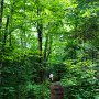 <palign=center> Parc national La Mauricie, sentier Lac-du-Fou